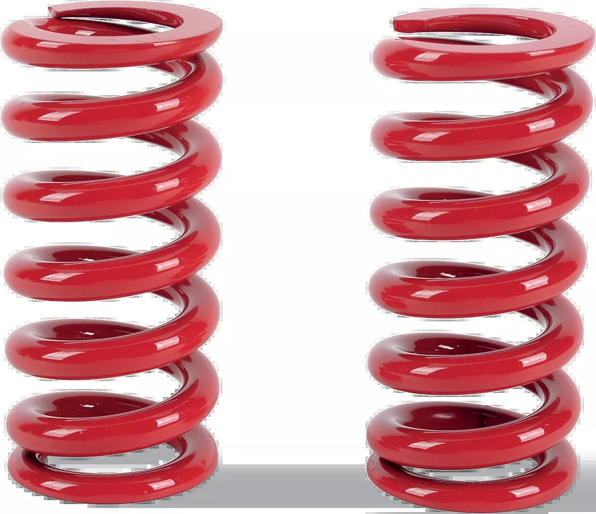 Big Shock Springs - 00-17 FXST /FLST
