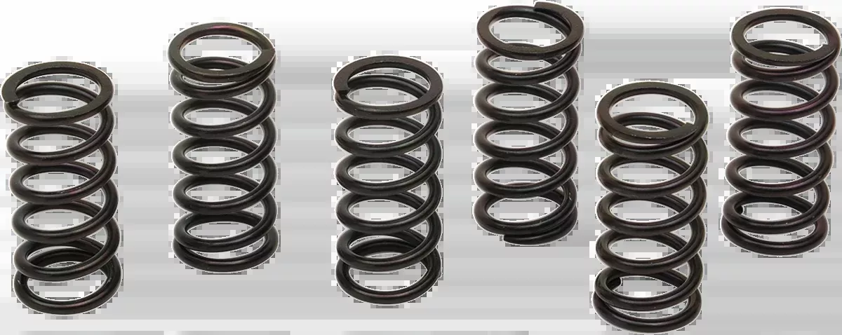 Clutch Spring Kit