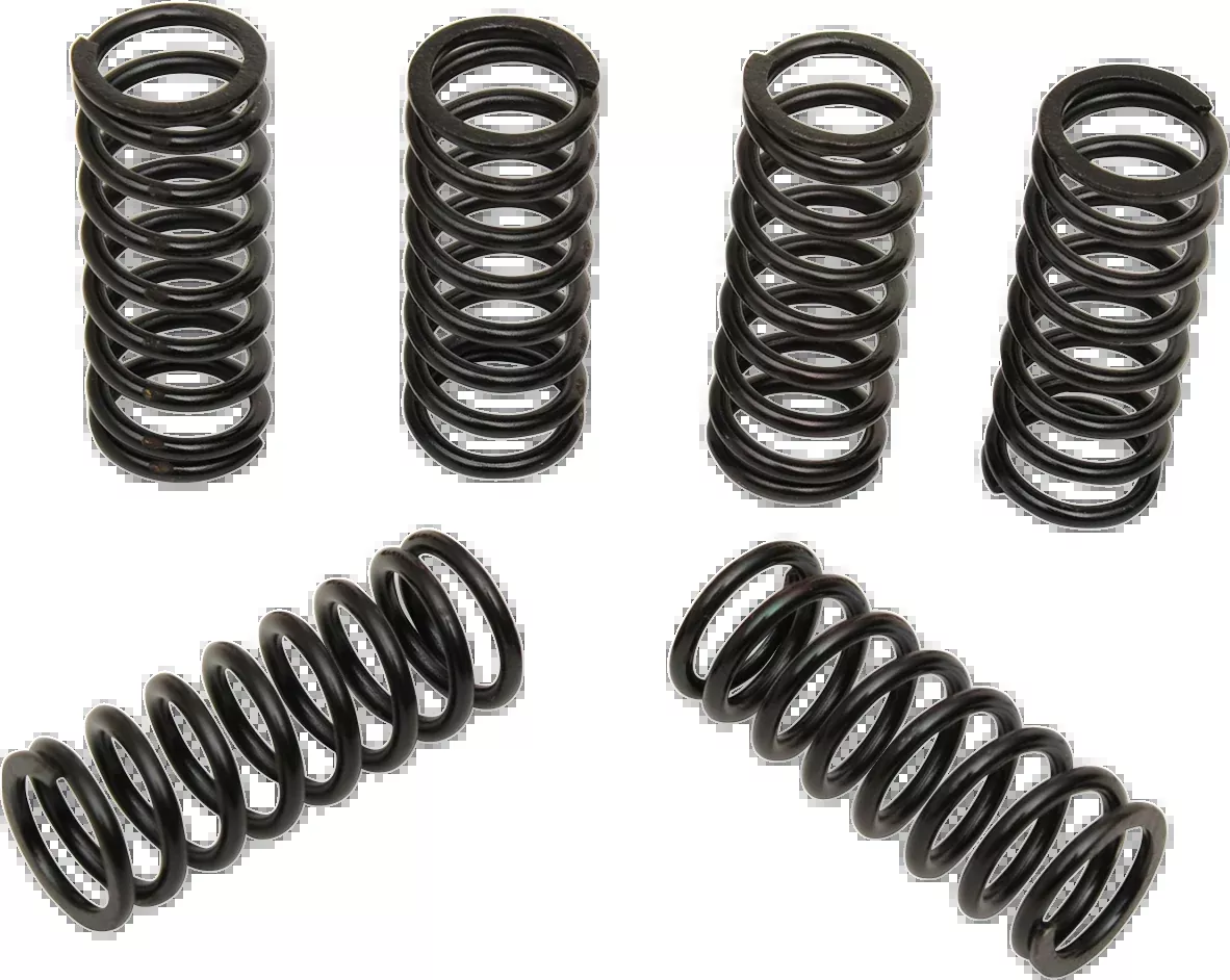Clutch Springs