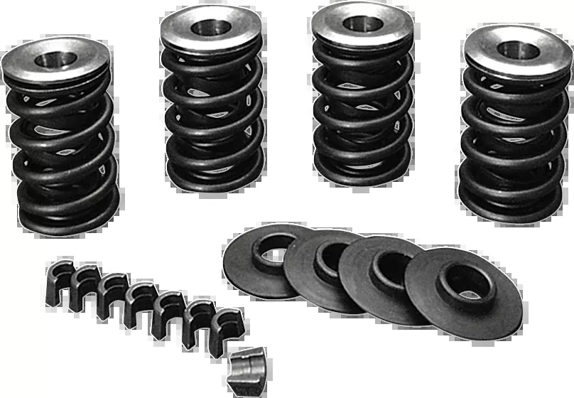 Valve Spring Kit - Evolution - Big Twin